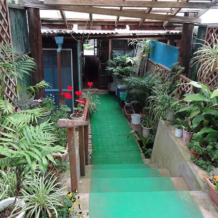فندق Gardenso هاتشيجو المظهر الخارجي الصورة